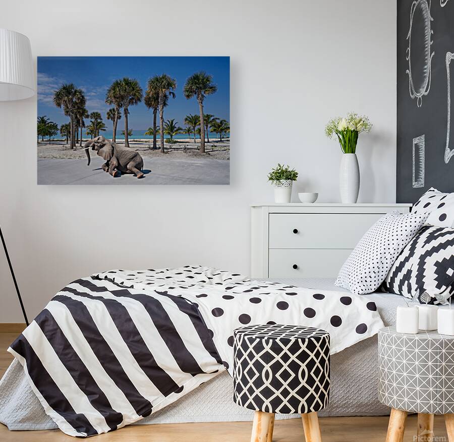 Elephant Beach Day Reproduction