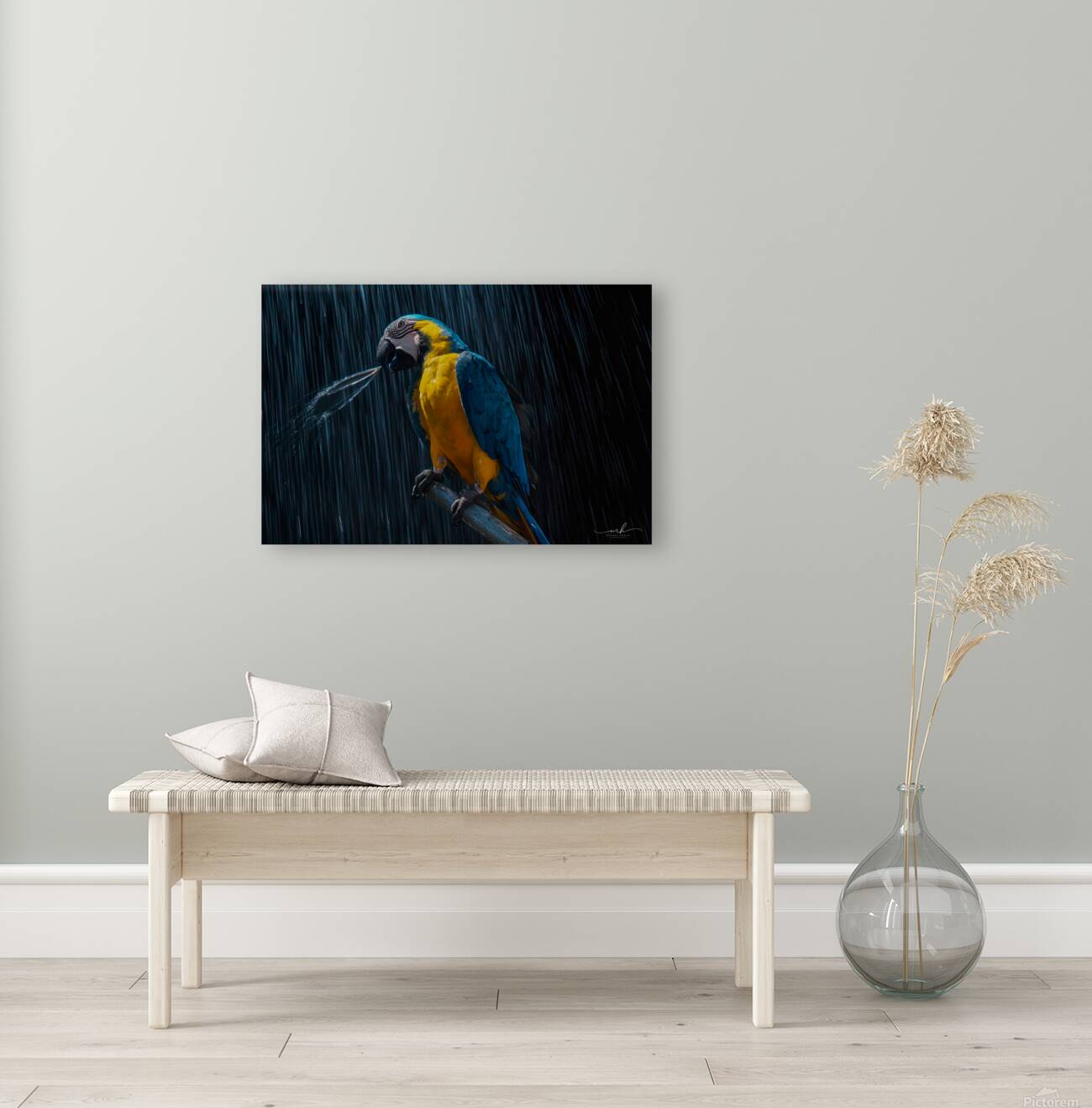 Rainforest Majesty Reproduction