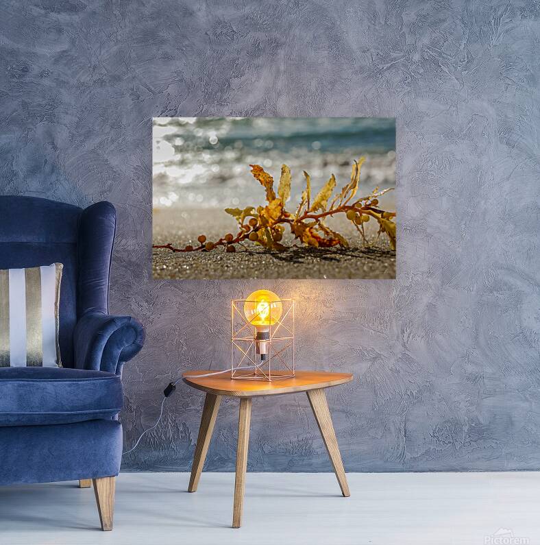 Tethered Light Reproduction