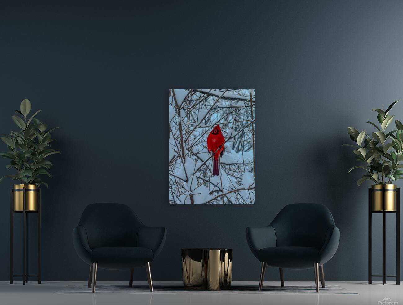 Cardinal in Winter Reproduction