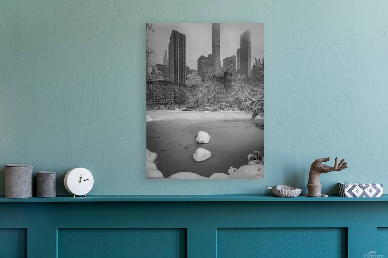 After the storm Reproduction