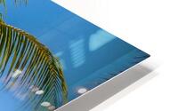 Miami Palm HD Metal print