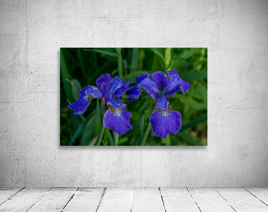 Azure Elegance Wall Preview