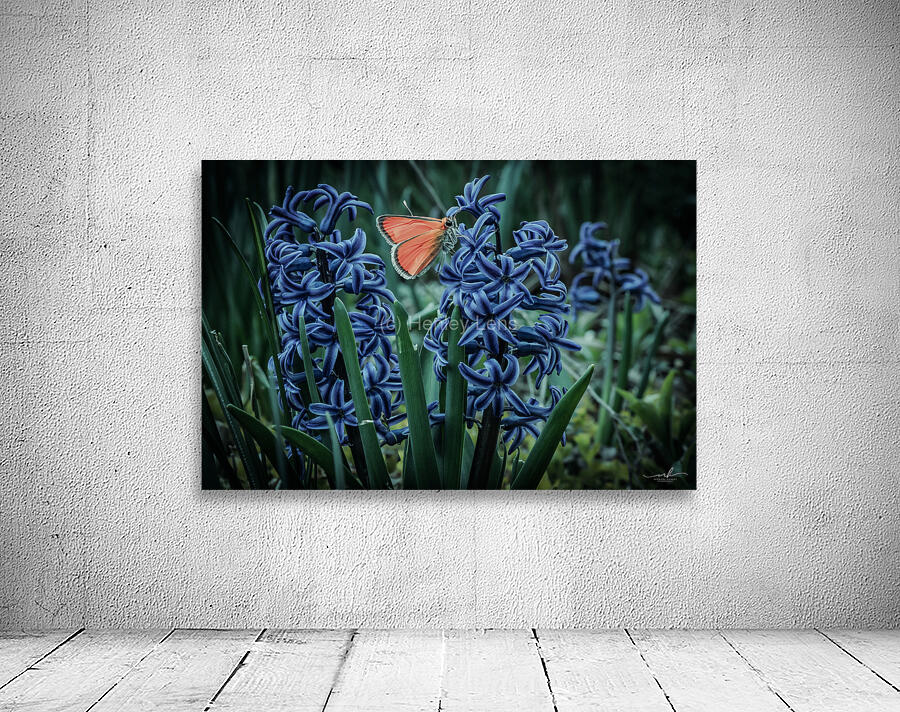 Harmony in Bloom  Wall Preview