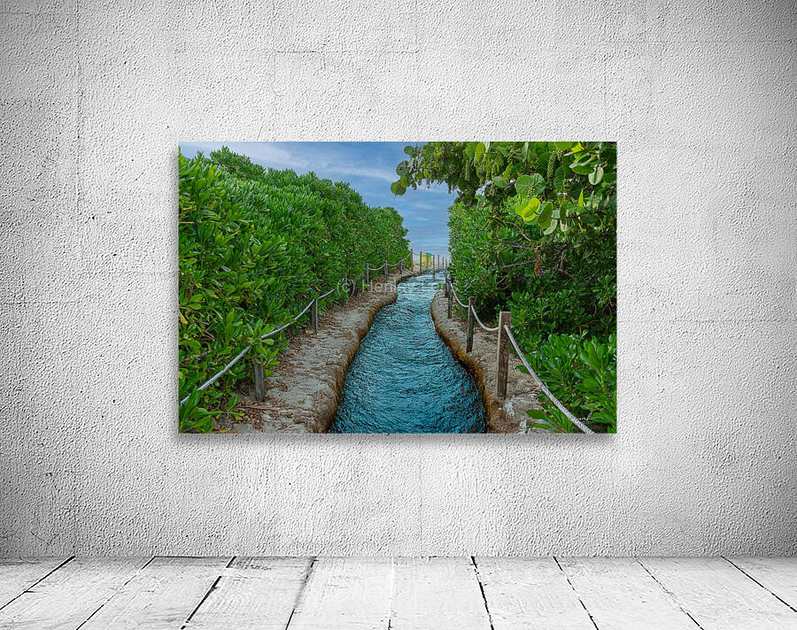 Path of Stillness Wall Preview