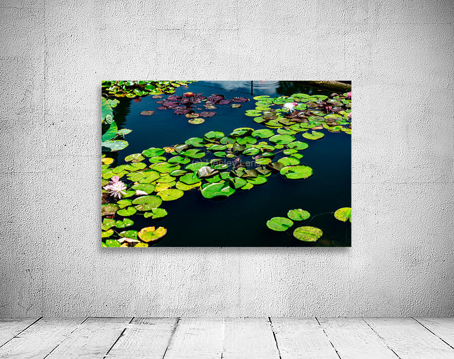 Whispers Beneath the Surface Wall Preview