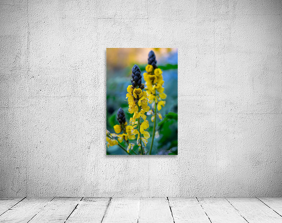 Whispers of Bloom and Light Wall Preview