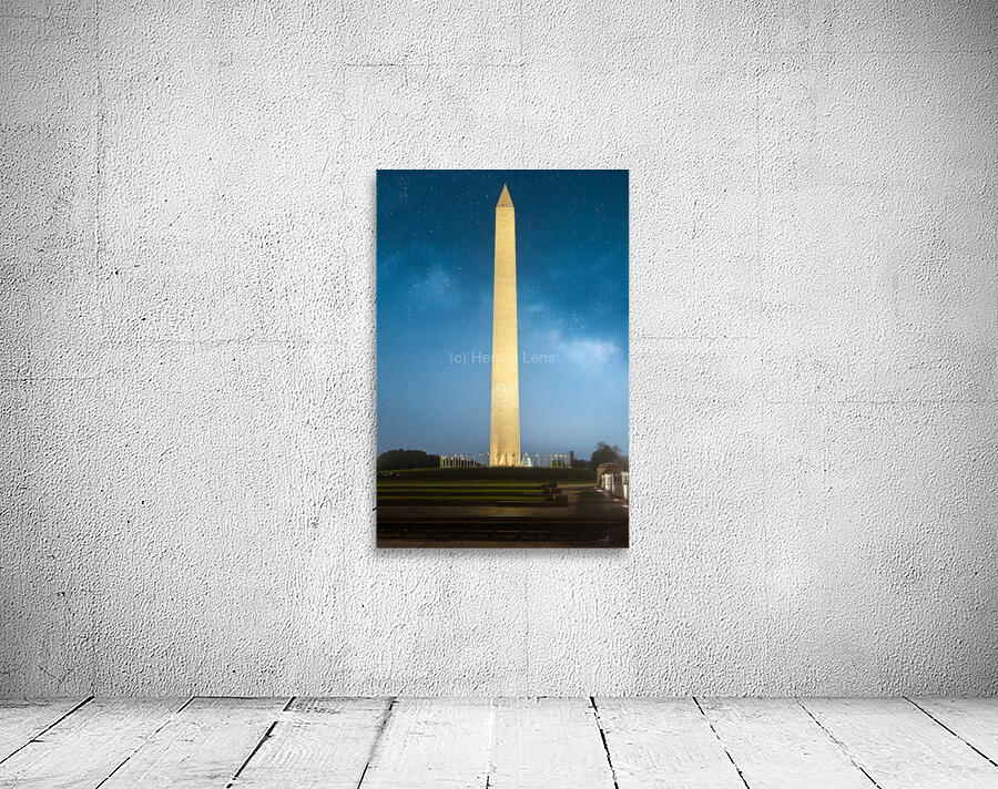 Sentinel Under Stars Wall Preview