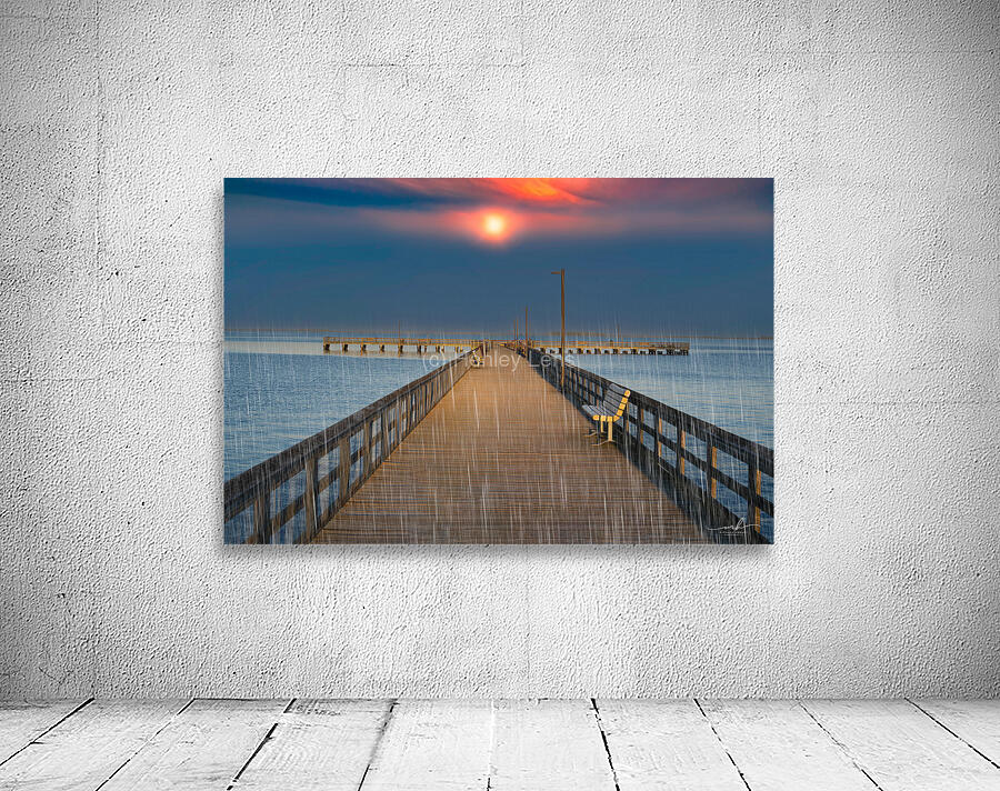 Solitude in the Rain Wall Preview