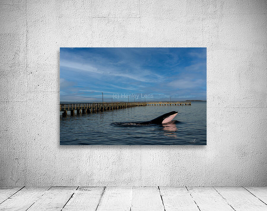 Serenity Interrupted Wall Preview