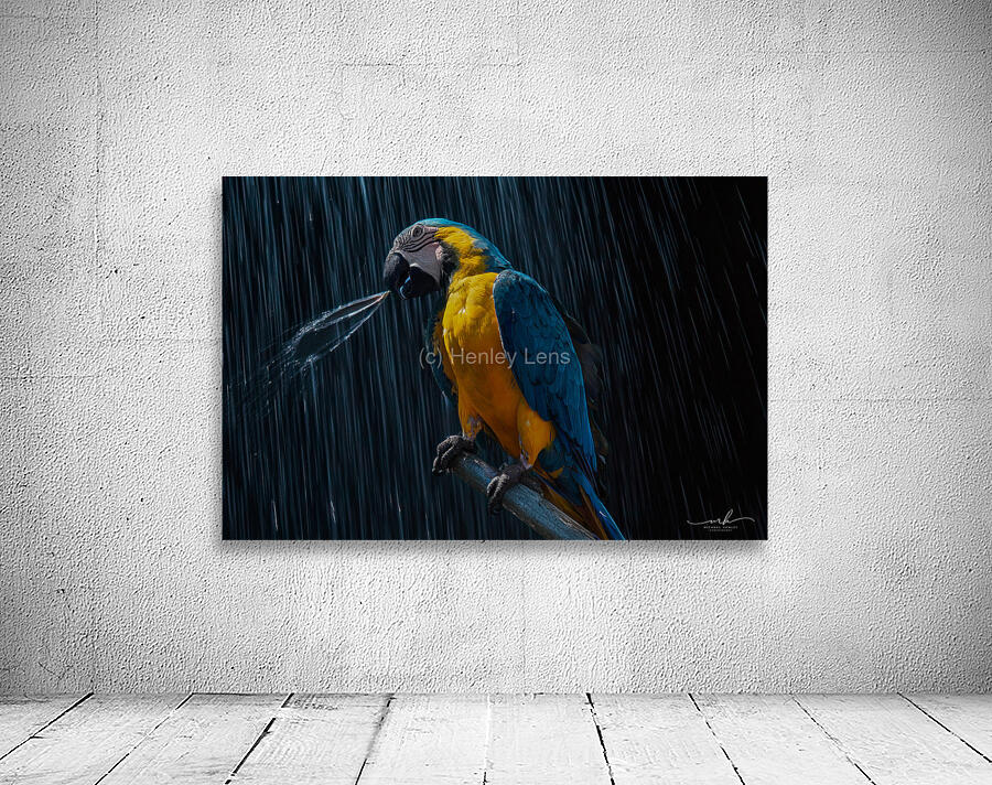 Rainforest Majesty Wall Preview