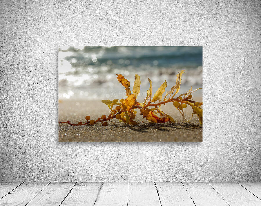 Tethered Light Wall Preview