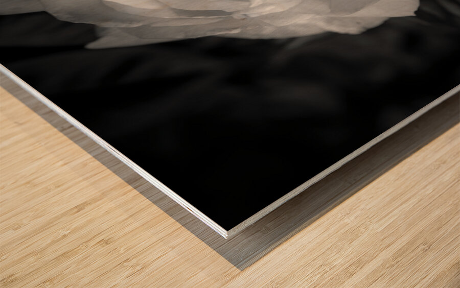 Timeless Elegance Wood print