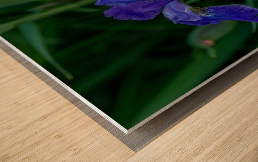 Azure Elegance Wood print