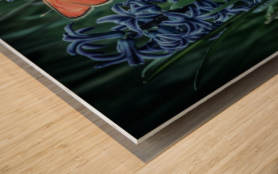 Harmony in Bloom  Wood print