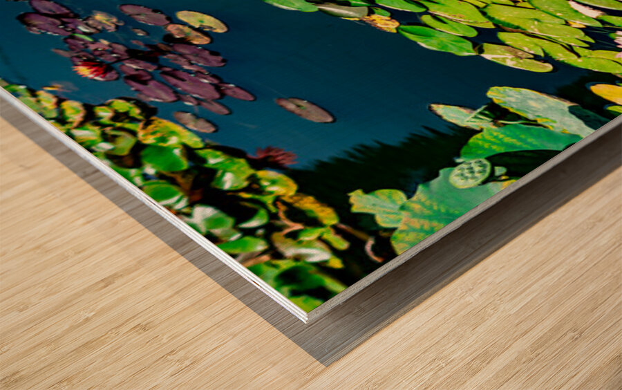 Whispers Beneath the Surface Wood print