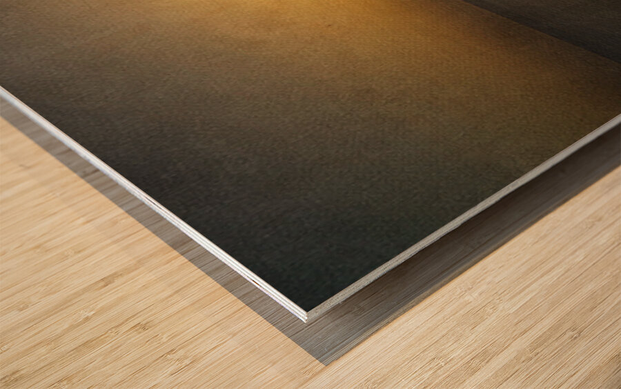 Solace at the Horizon Wood print