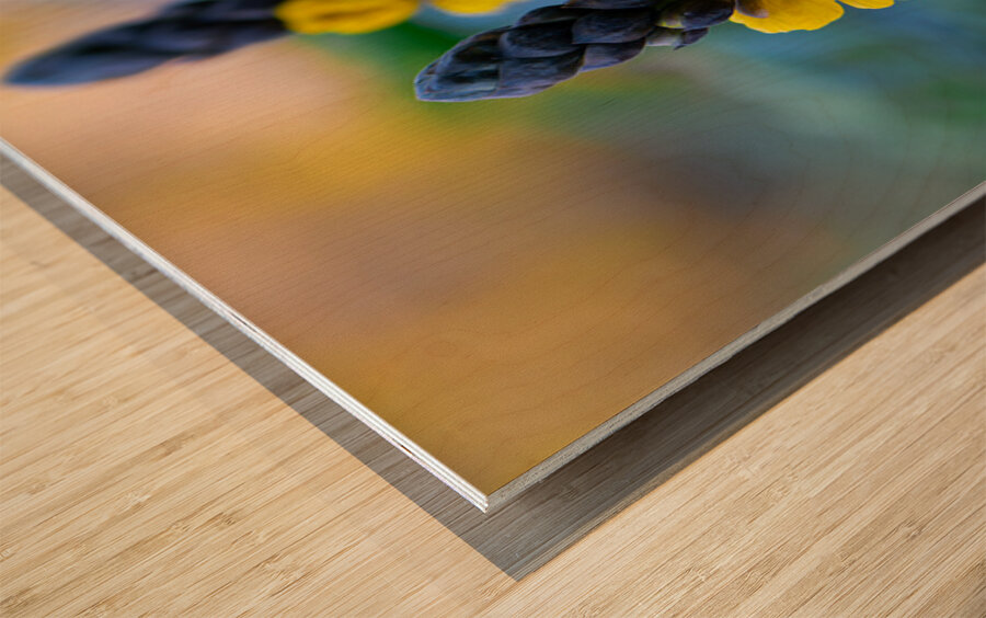 Whispers of Bloom and Light Wood print