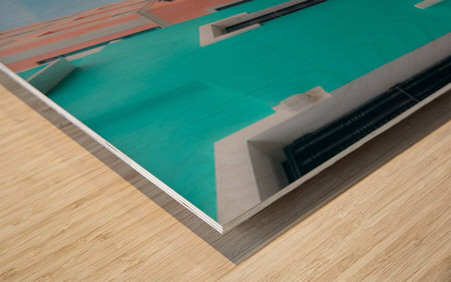 Alley of Pride and Reflection Wood print