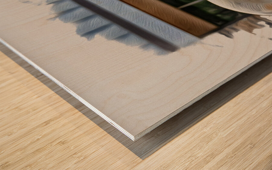 Keeper of Quiet Light Wood print