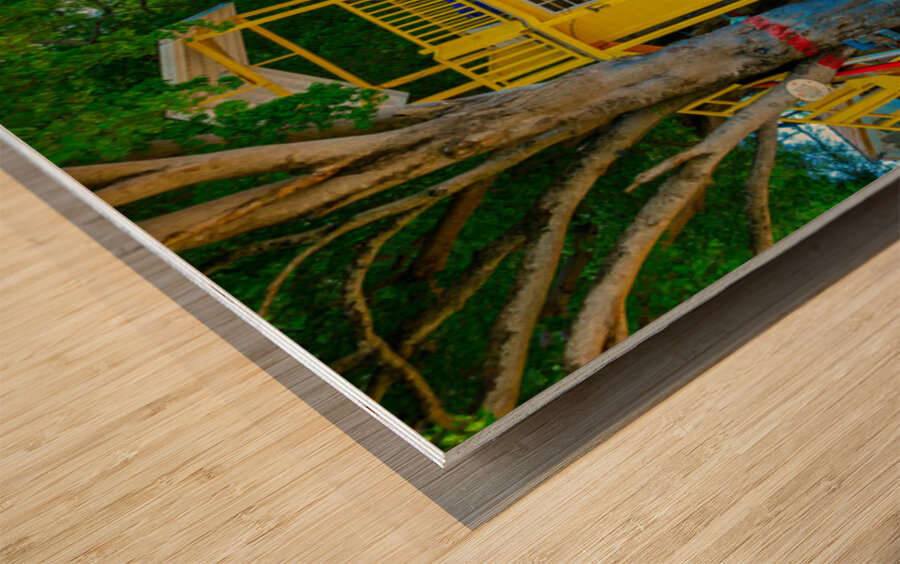 Sun light Shelter Barbados Wood print