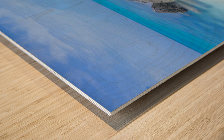 Stillness Between the Stones Wood print