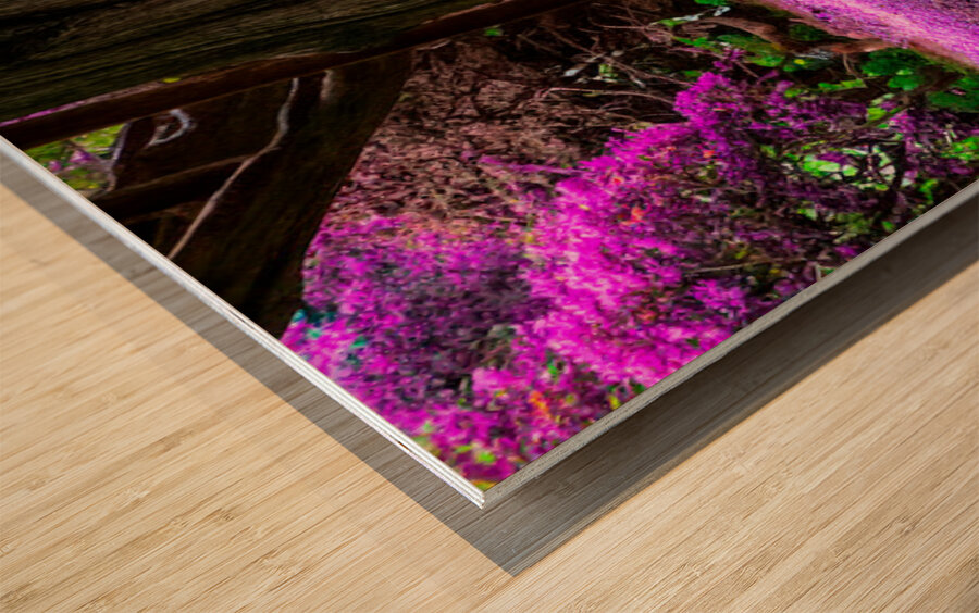 Majestic Roots Wood print