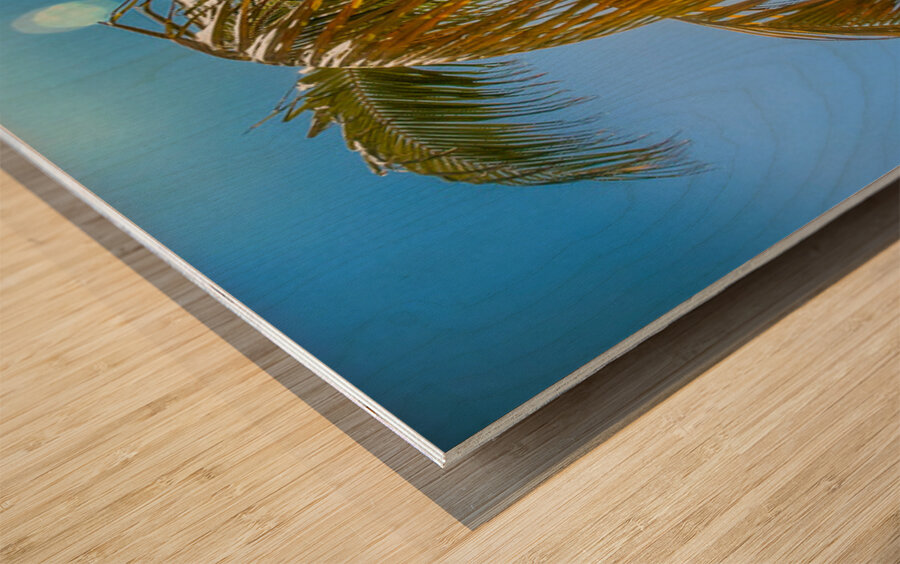 Miami Palm Wood print