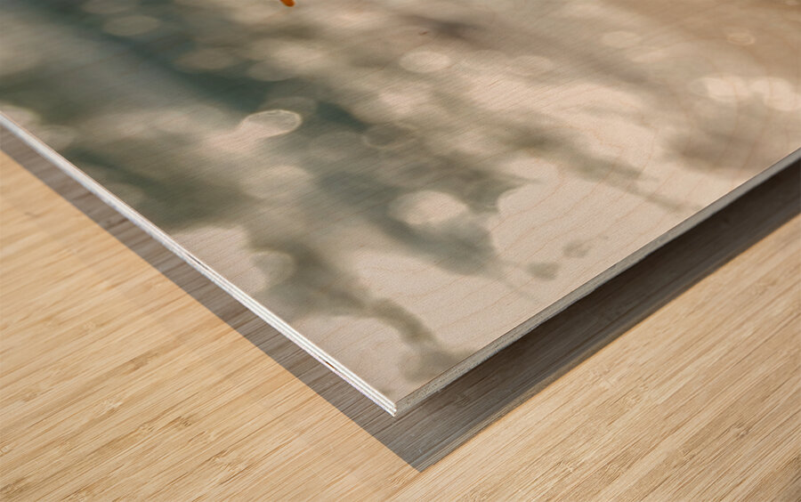 Tethered Light Wood print