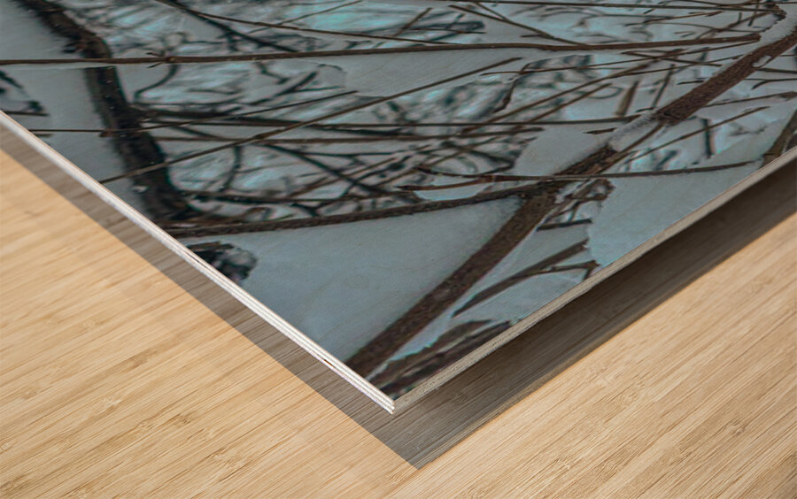 Cardinal in Winter Wood print