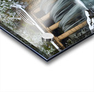 Living nature Acrylic print