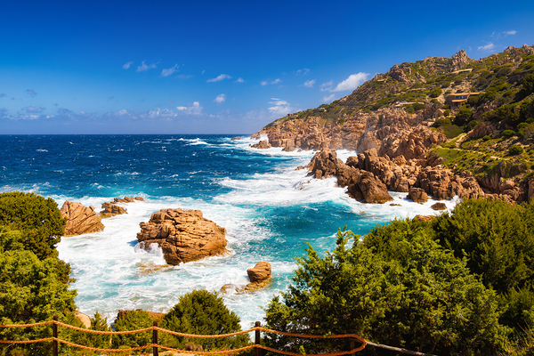 Wild Beauty - CR2405-0575-REA Digital Download