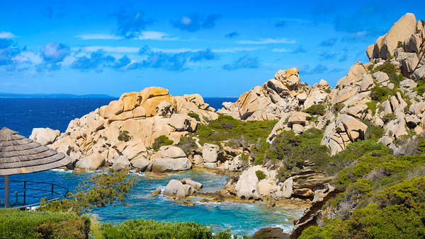 Coastal Splendor - CR2405-0683-REA Digital Download