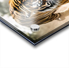 Intense Load - GIA2401-0212-REA Acrylic print