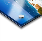 Wild Beauty - CR2405-0575-REA Acrylic print