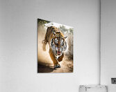 Intense Load - GIA2401-0212-REA Acrylic Print