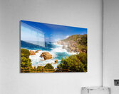 Wild Beauty - CR2405-0575-REA Acrylic Print