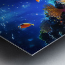 Coral Domain - GIA2401-0197-REA Metal print