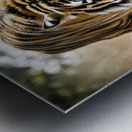 Intense Load - GIA2401-0212-REA Metal print