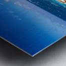 Wild Beauty - CR2405-0575-REA Metal print