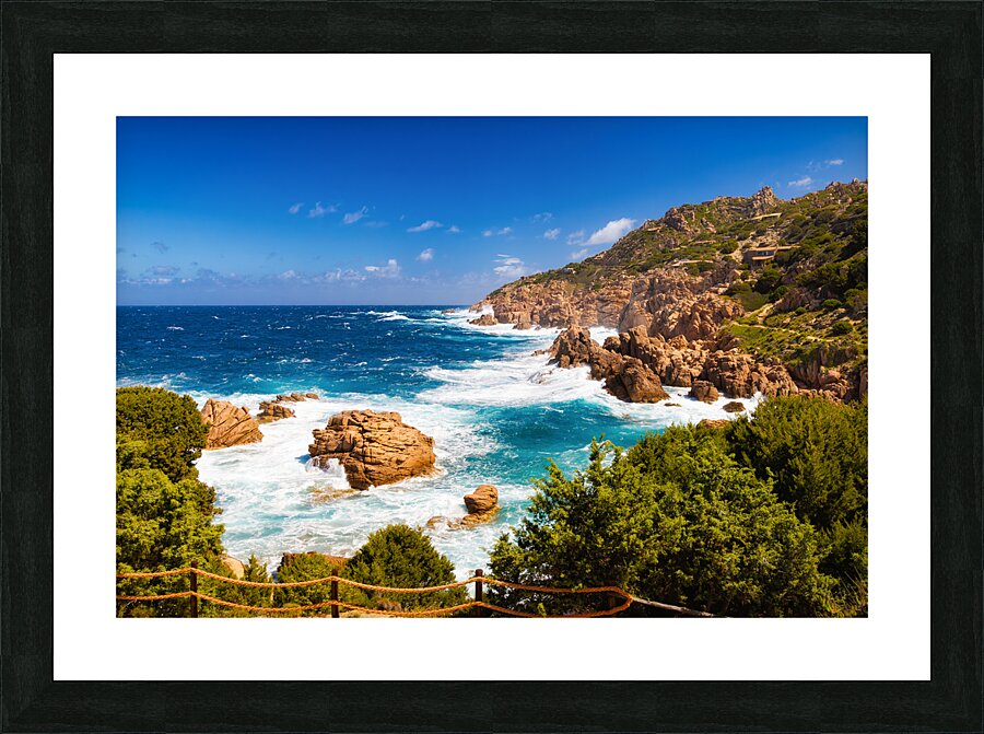 Wild Beauty - CR2405-0575-REA Picture Frame print