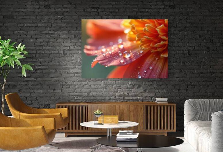 Dew Drops - GIA2401-0345-REA by JordiCarrio
