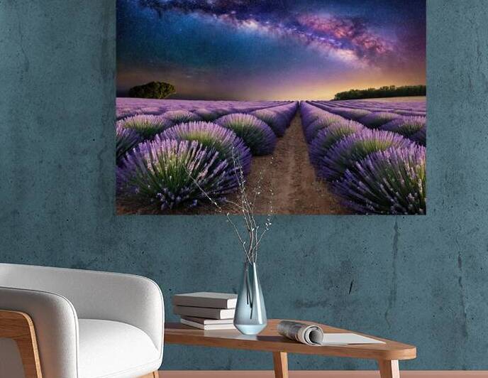 Lavender Field at Starlight   GIA2501 0454 ILU by JordiCarrio