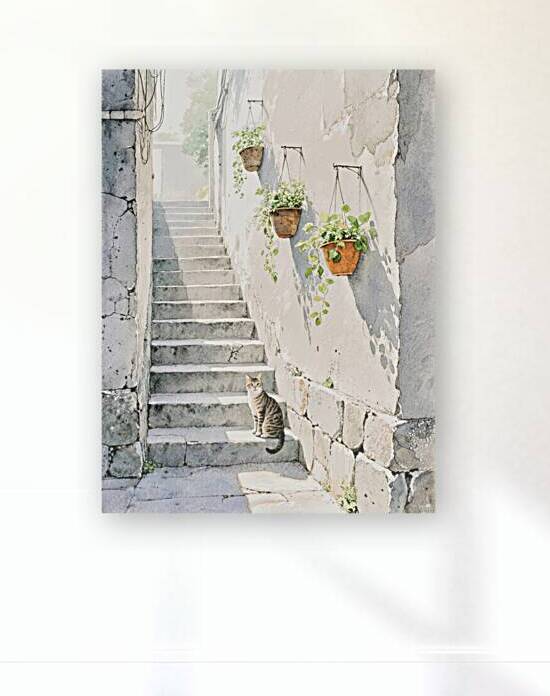 Sunlit Steps and a Watchful Cat   GIA2501 0548 WAT by JordiCarrio