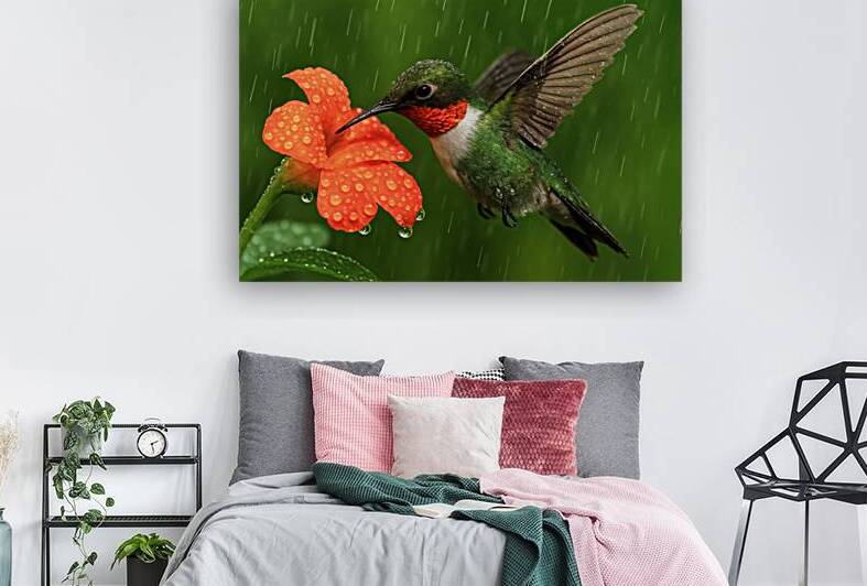 Rain Kissed Nectar   GIA2501 06245 REA by JordiCarrio