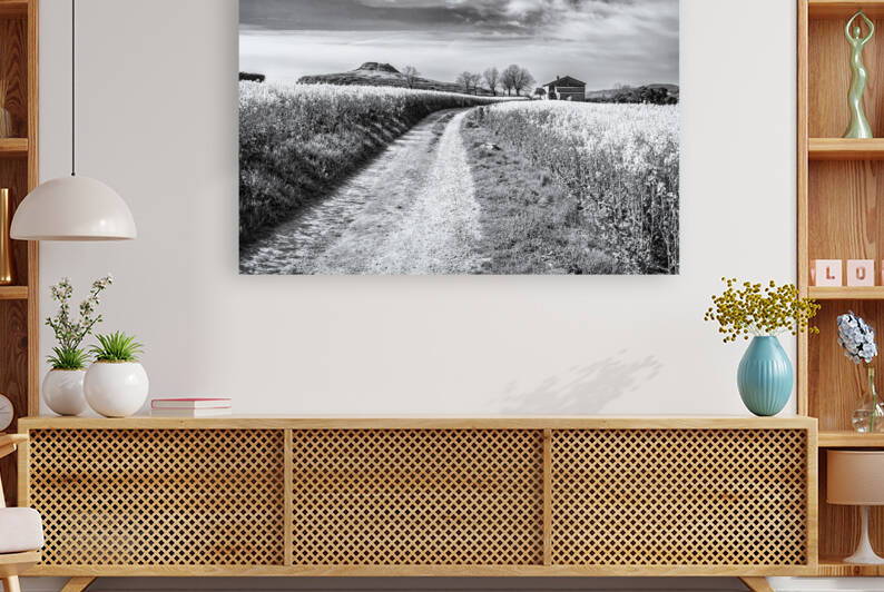 Breathtaking rapeseed fields - CR2204-7071-BW by JordiCarrio