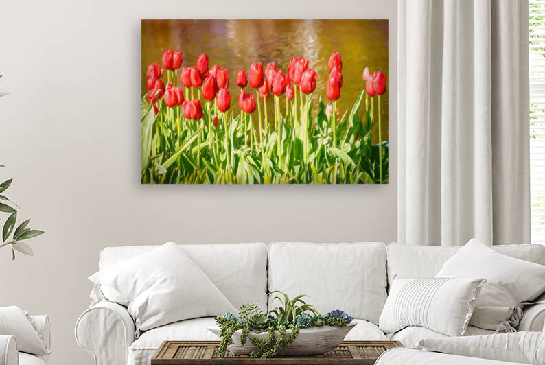 The scarlet splendor of the tulip - CR2305-9183-OIL by JordiCarrio