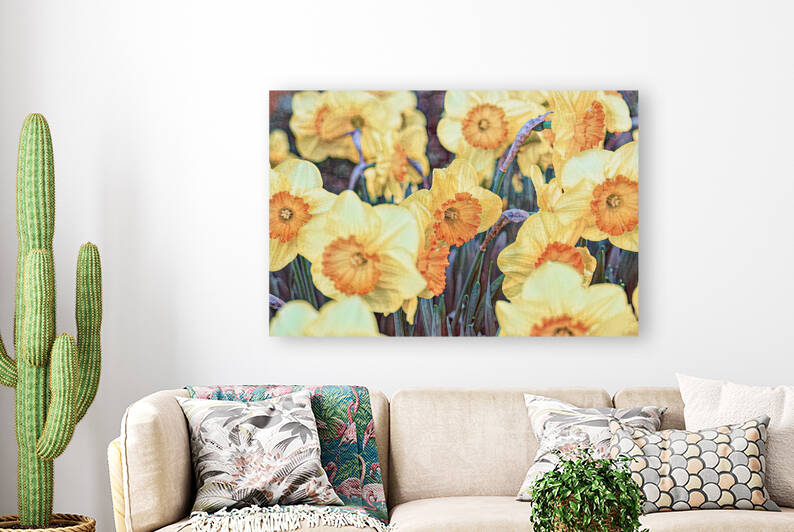 Yellow tulips. - CR2305-9201-ABS by JordiCarrio