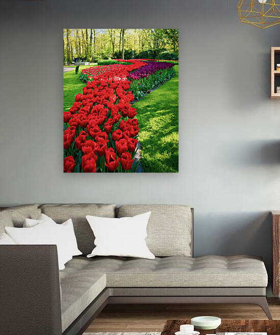 Scarlet Path - LU2305-1030408-ORT by JordiCarrio