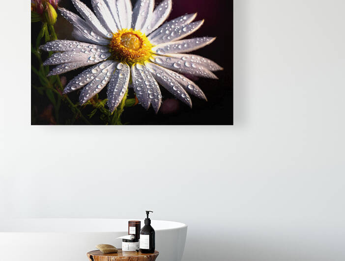 Daisy wet by the rain - GIA0923-1031-ILU by JordiCarrio